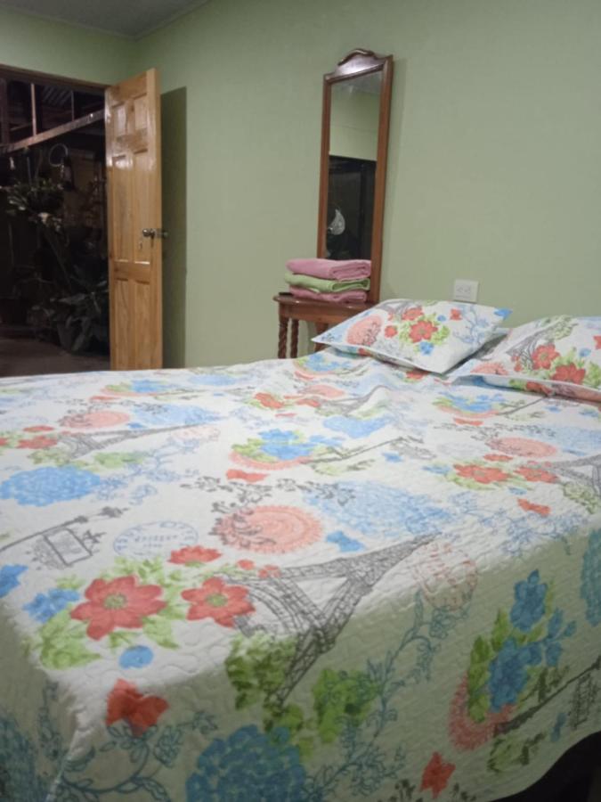 Alexander B&B Alajuela Kültér fotó