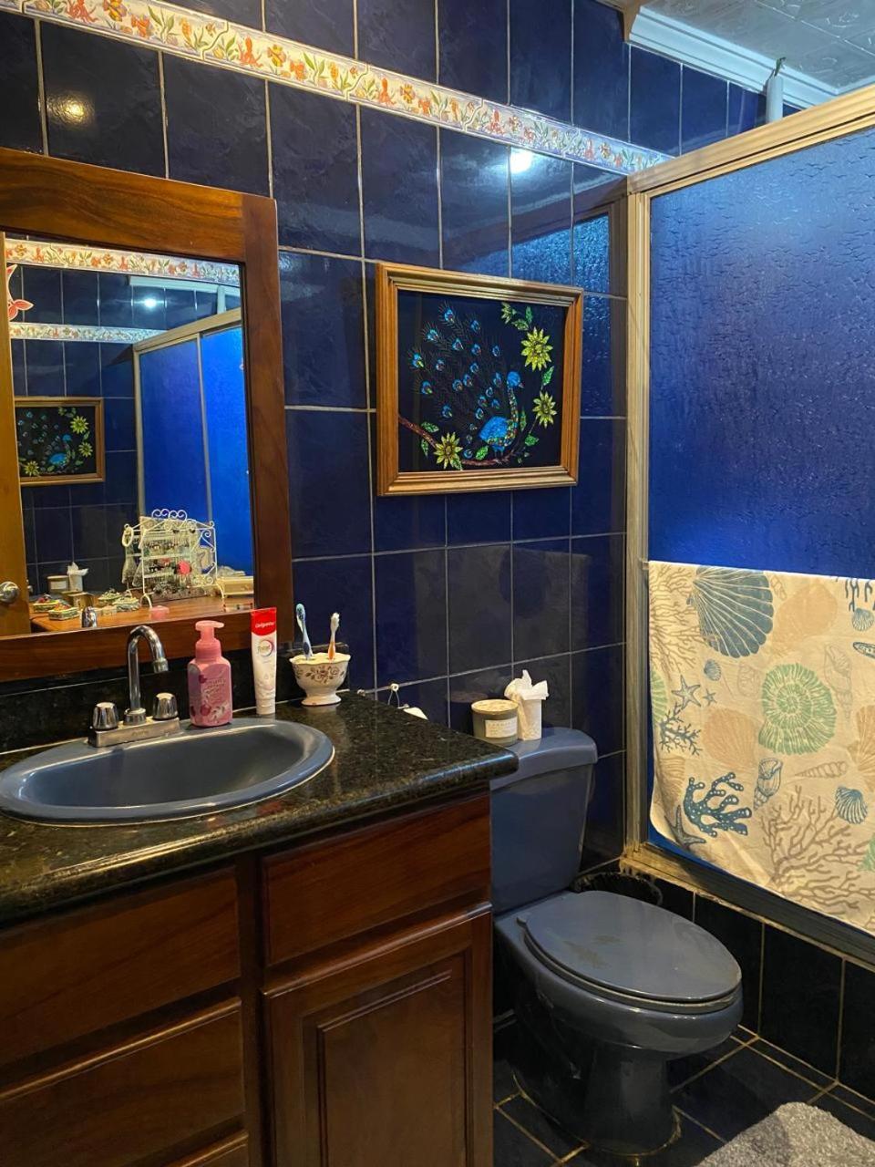 Alexander B&B Alajuela Kültér fotó