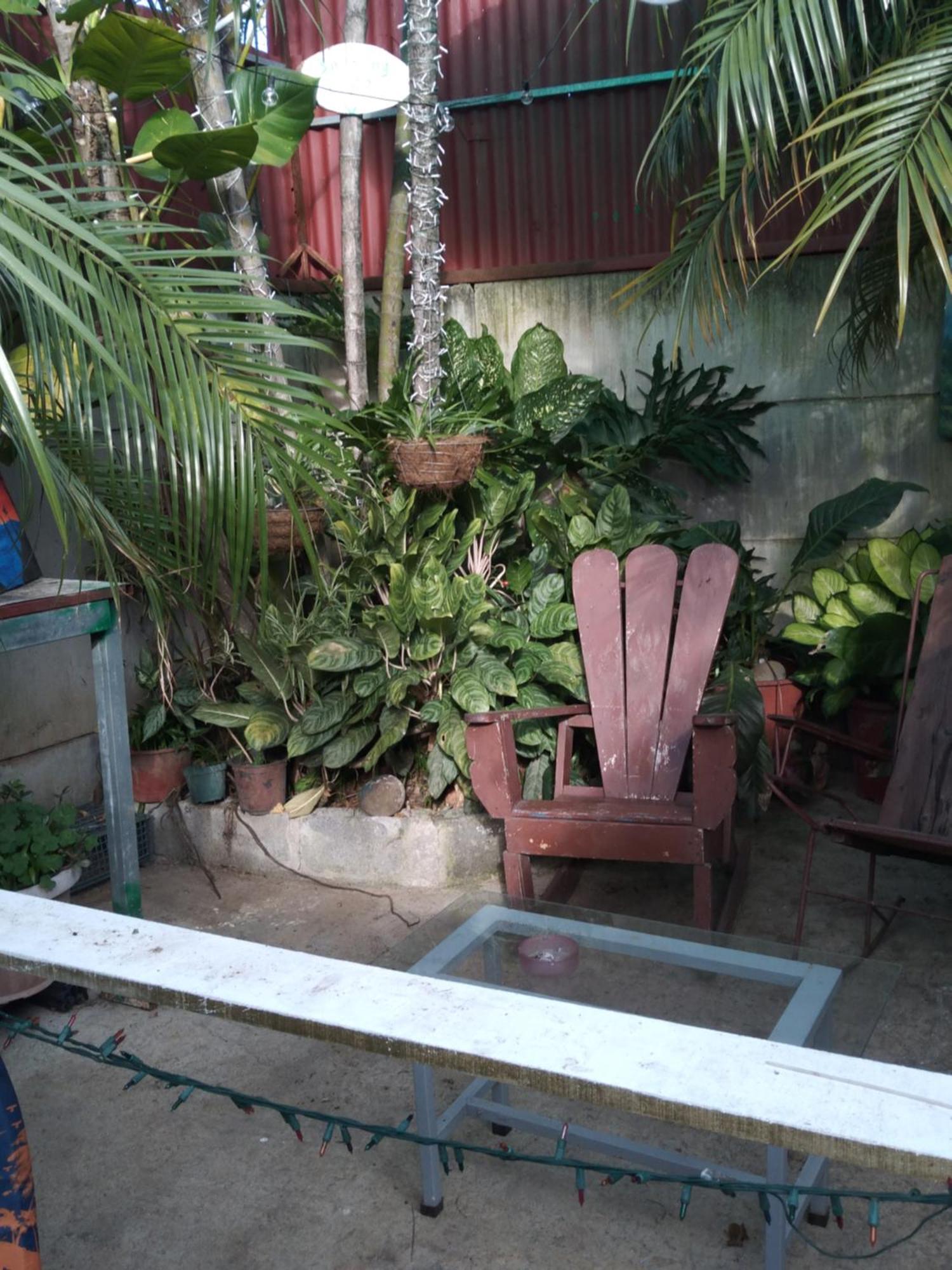 Alexander B&B Alajuela Kültér fotó